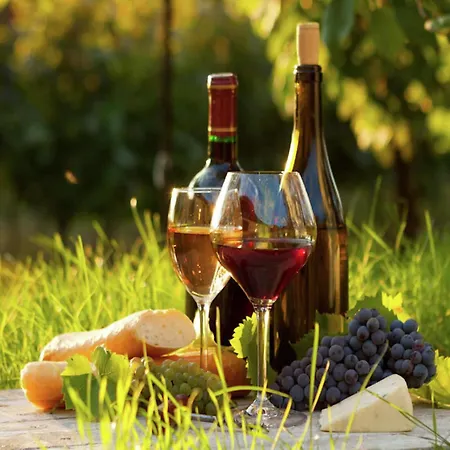 Vakantiehuis In Near Lot River Saint-Geniez-dʼOlt